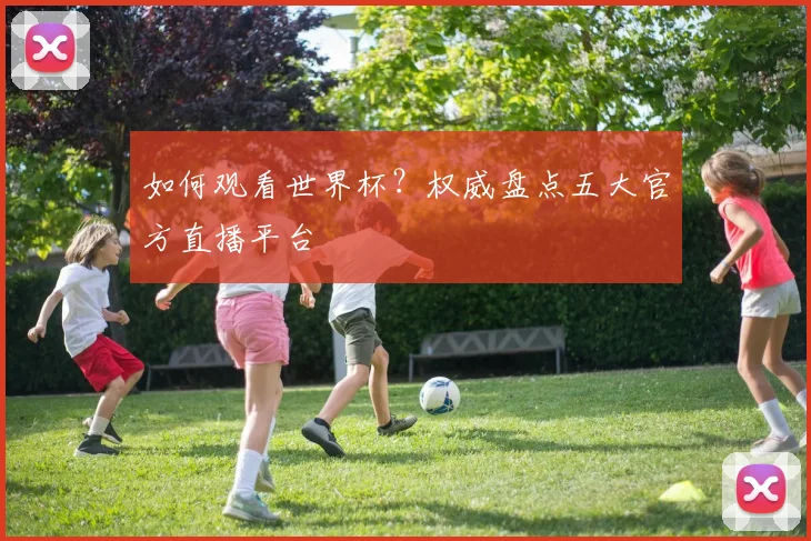 如何观看世界杯？权威盘点五大官方直播平台
