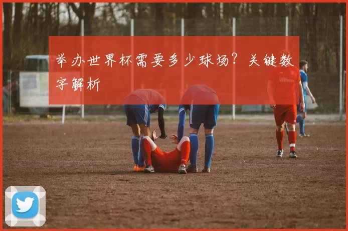 举办世界杯需要多少球场？关键数字解析